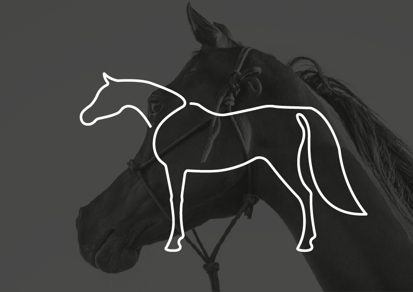 Hesteikon Logoikon af en hest