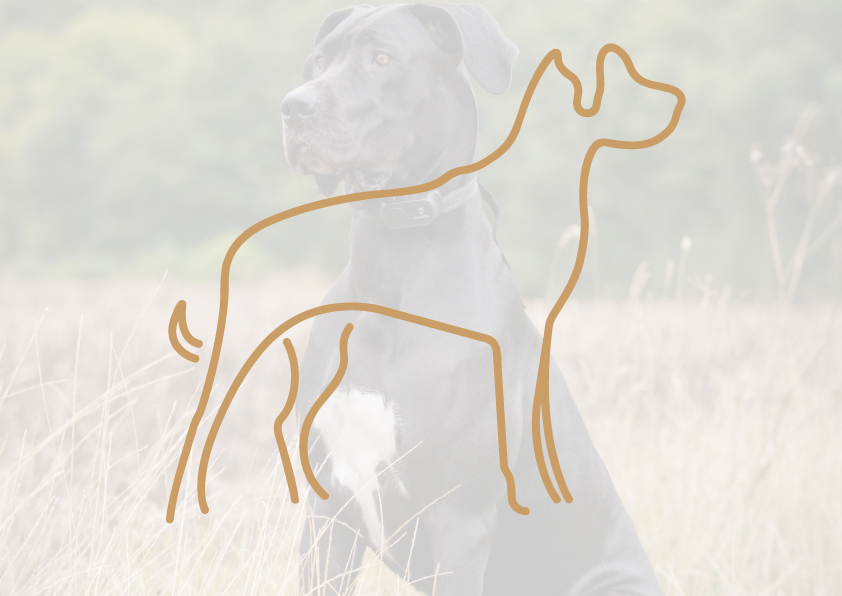 Great Dane Great Dane logoikon