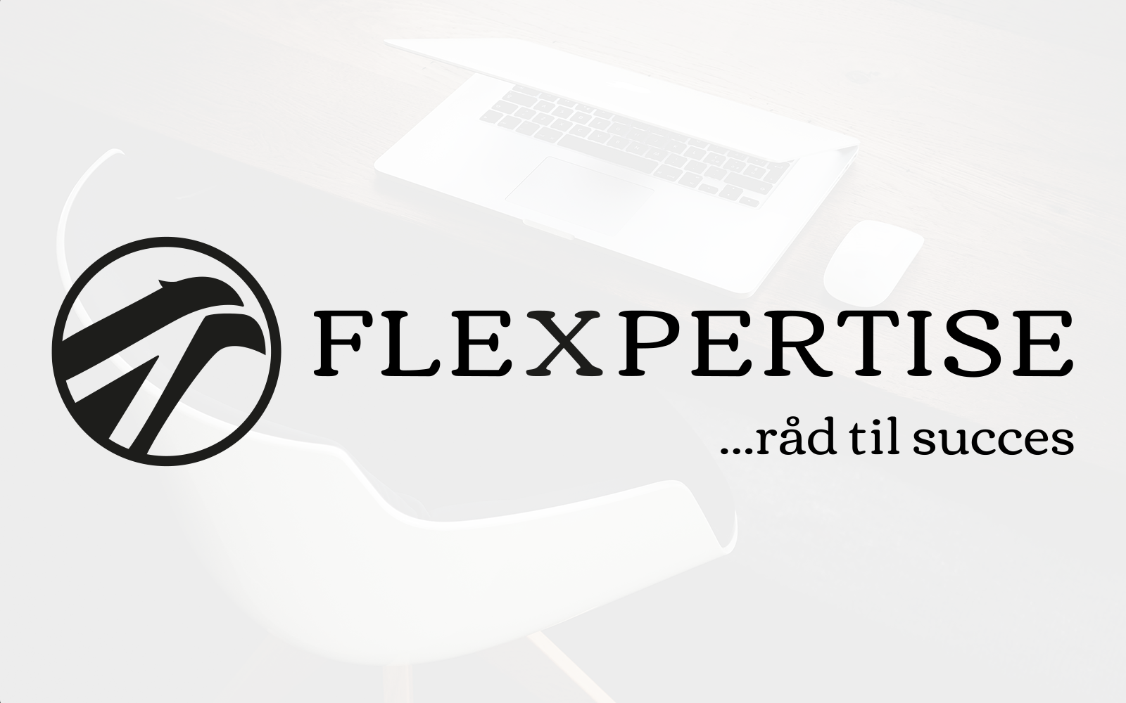 Flexpertise, konsulentfirma
